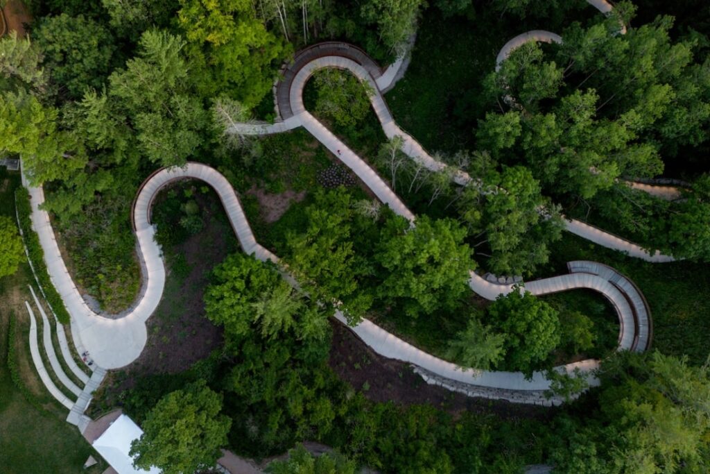 An aerial view of a winding path among some trees